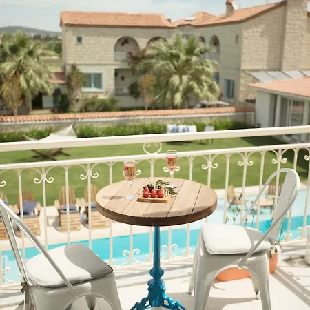 Levin * אלאקאטי