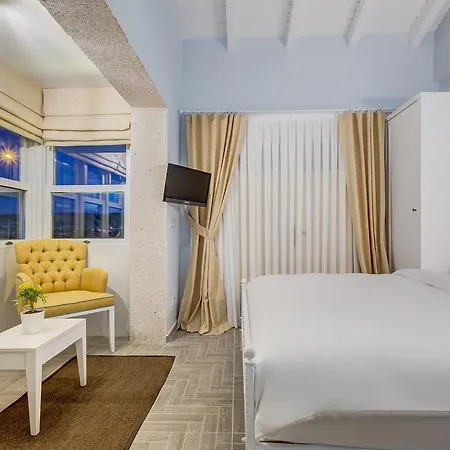 Levin אלאקאטי