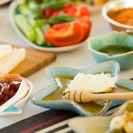 Levin מלון אלאקאטי