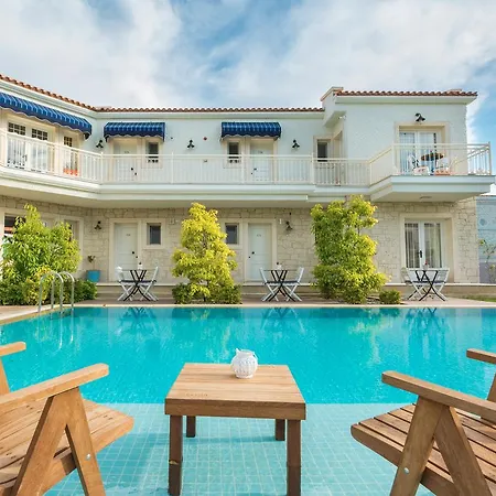 Levin אלאקאטי