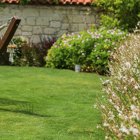 Levin * אלאקאטי