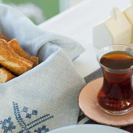 Levin מלון אלאקאטי