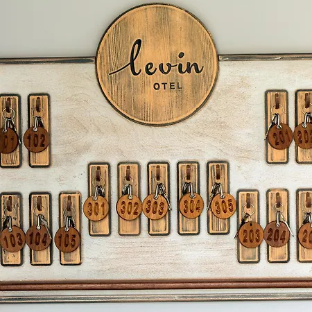 Levin