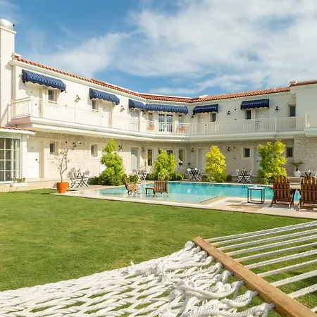 Levin אלאקאטי